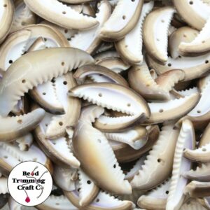 Shell Teeth Shape Beads – 2 Hole – 30mm