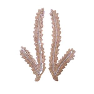 Feather Pairs - 190 x 70mm - Cream AB - Price per pair