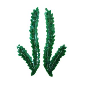 Feather Pairs - 190 x 70mm - Green AB - Price per pair