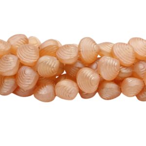 Shell - 15mm - 33cm Strand - Apricot