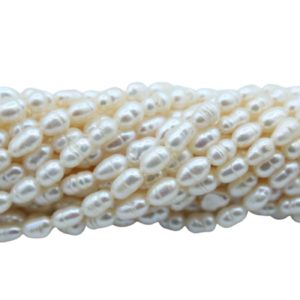Freshwater Pearl - Rice - 6 x 3mm - 34cm Strand