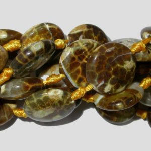 Tiger Agate - 20mm Coin - 38cm Strand