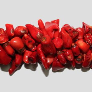 Bamboo Coral Teeth - Small - Red