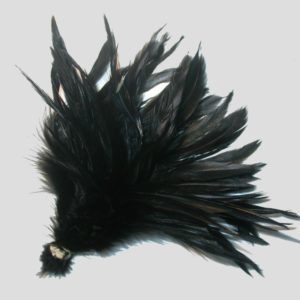 Black Feather Bunch