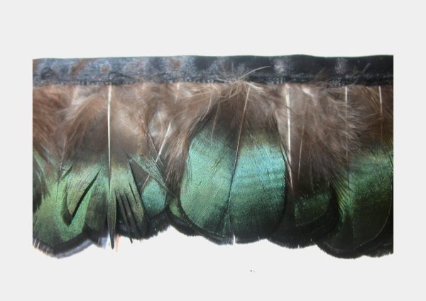 Feather Trimming - Price Per Centimeter