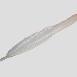 Wing Feather - 300mm - White