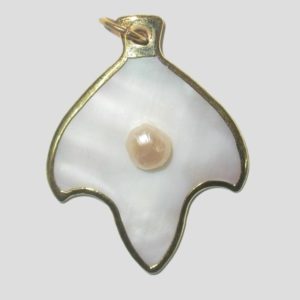 Shell Shape With Frame - 38 x 30mm