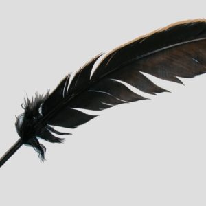 Wing Feather - 300mm - Black
