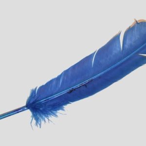 Wing Feather - 300mm - Blue