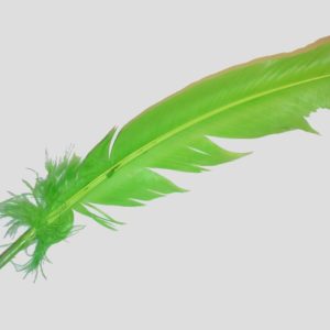 Wing Feather - 300mm - Green