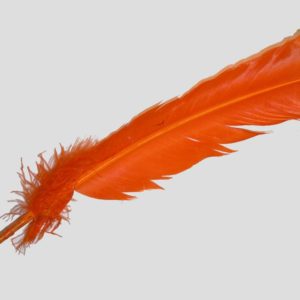 Wing Feather - 300mm - Orange