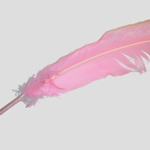 Wing Feather - 300mm - Light Pink