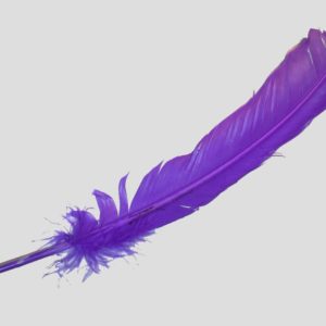 Wing Feather - 300mm - Purple