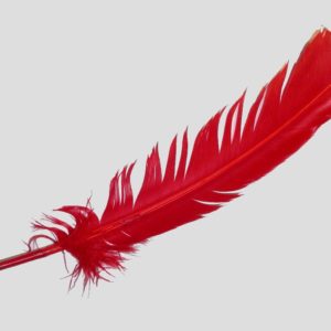 Wing Feather - 300mm - Red
