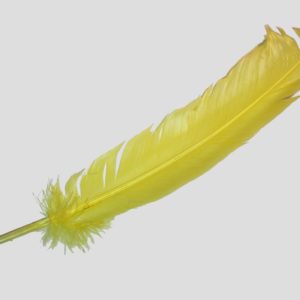 Wing Feather - 300mm - Yellow