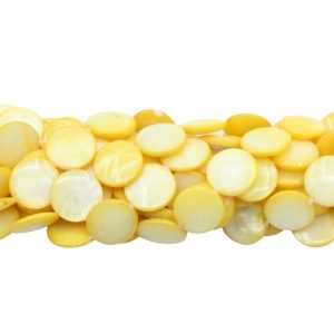 Shell – Coin – 13mm - Yellow - 39cm Strand