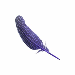 Feather - Spotted – 18cm - Purple