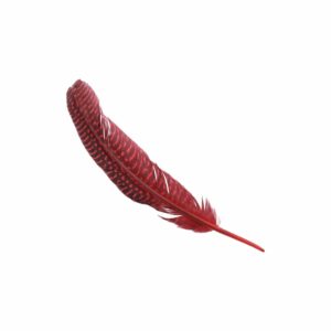 Feather - Spotted – 18cm - Red