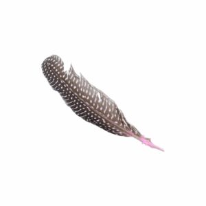 Feather - Spotted – 18cm - Light Pink