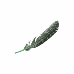 Feather - Spotted – 18cm - Green