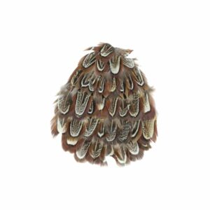 Feather - Hackle Pad – 120mm - A