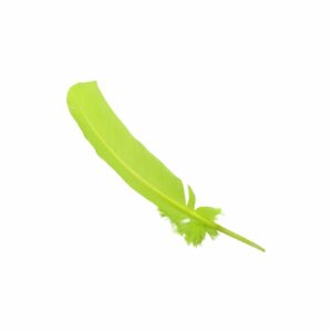 Feather - Turkey Quill - 31cm - Green