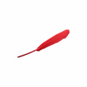 Feather – 15cm - Red