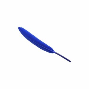 Feather – 15cm - Blue