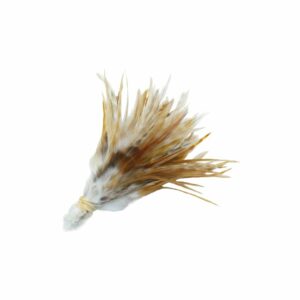 Feather - Tiger Tuft Bunch - 12cm - Natural