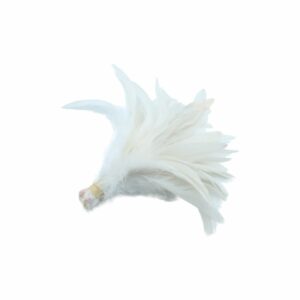 Feather - Variegated Bunch - 16cm - White