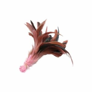 Feather - Variegated Bunch - 16cm - Salmon