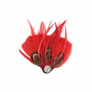 Feather - Fancy Hackle Pad - Crystal – 120mm - Red