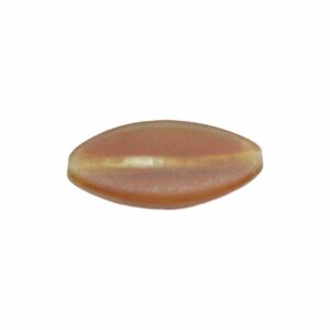Horn Bead - Flat Oval - 26 x 12mm