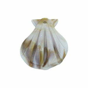 Shell Charm - 31 x 28mm