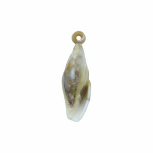 Shell Charm - 31 x 10mm