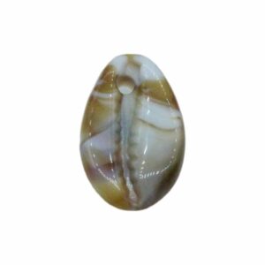 Shell Charm - 18 x 11mm