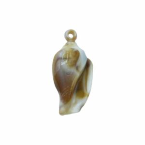 Shell Charm - 32 x 15mm