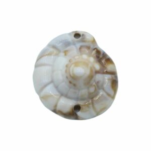 Shell Charm - 25 x 23mm - 2 Hole