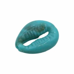 Shell Bead - Blue - 18 x13mm