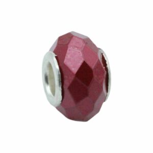 Shell Bead - Faceted - Large Hole - 15mm - Cherry