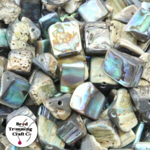 Paua Shell - Vertebrae Shape - 10 to 14mm