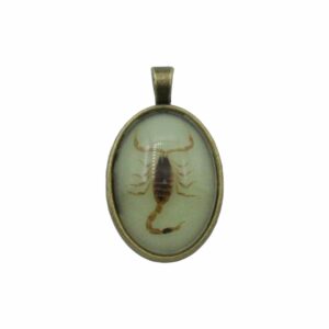 Scorpion Pendant - 34mm - Antique Brass / Yellow Cream