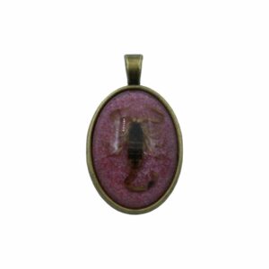 Scorpion Pendant - 34mm - Antique Brass / Rose