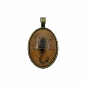 Scorpion Pendant - 34mm - Antique Brass / Tangerine