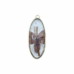Pressed Flower Drop - Oval - 38 x 15mm