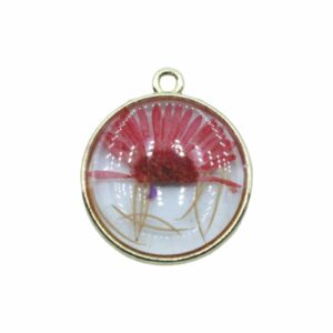 Pressed Flower Drop - Round - 22 x 20mm