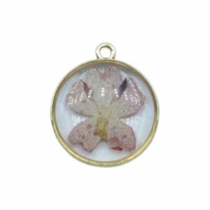 Pressed Flower Drop - Round - 22 x 20mm