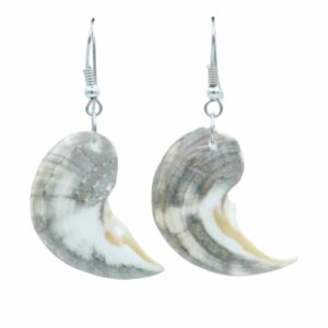 Shell Earrings - 35mm - SPECIAL